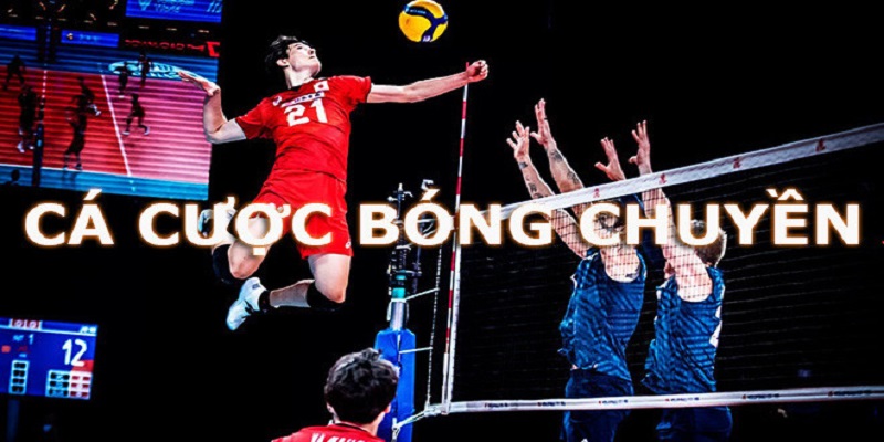 Cá độ bóng chuyền có những hình thức phổ biến nào