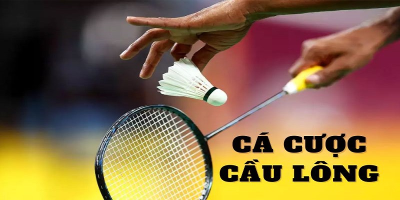 Cá Cược Cầu Lông Debet - Loại kèo cá cược cầu lông phổ biến